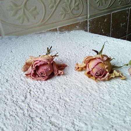 Posada Del Dulce Sueno Mojares エクステリア 写真